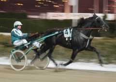 Orecchietti 160217-1